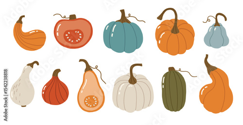 Autumn elements doodle illustration, pumpkins collection, autumn cozy set