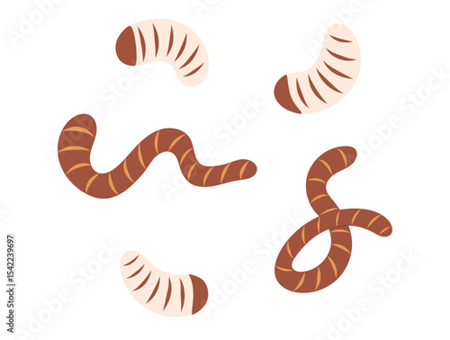 Worm, earthworms and fly maggot insect set. Fishing lure. Angling bait. Hand drawn flat vector illustration isolated on white background
