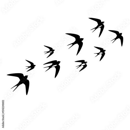 Flock of Birds Black SVG Vector Outline