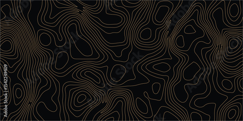 Contour Lines: A graphic rendering that illustrates the natural terrain through elegant contour lines, conveying a sense of the world's diverse topography and artistic flair.