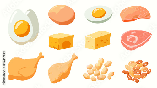 Flat illustration of different protein foods including meat eggs fish and legumes Nutrition and diets