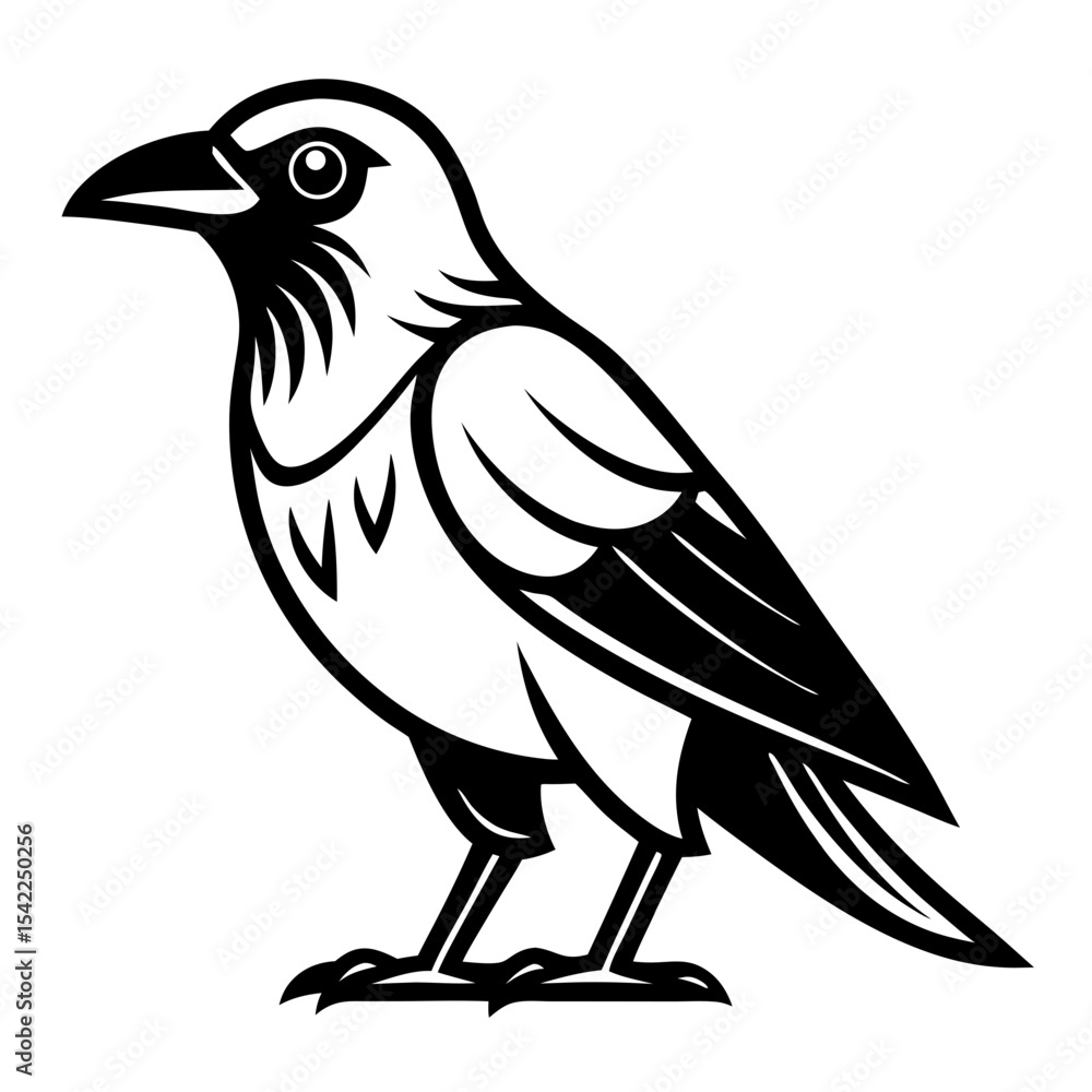 Obraz premium bird vector illustration