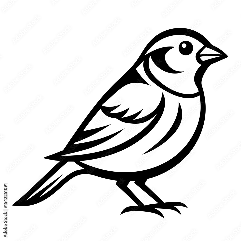 Obraz premium bird vector illustration