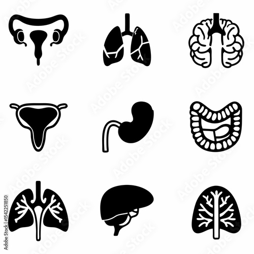 health icon vector set