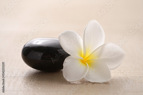 Serene Spa Still Life Black Stone and White Plumeria Flower