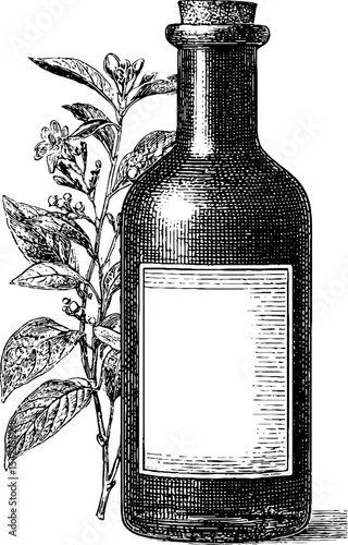 Vintage apothecary bottle label with botanical illustration for design and decoration