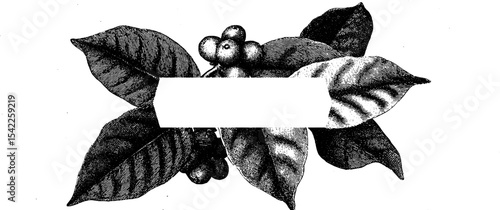 Vintage engraving coffee bag label with leafy border design for packaging