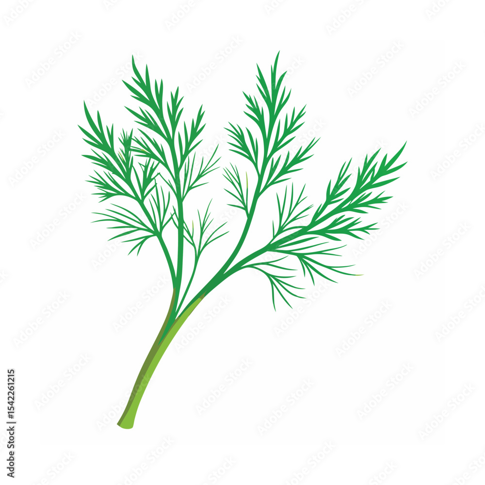 Vibrant Dill Sprig Fresh Herb Illustration Vibrant Dill Sprig Fresh Herb Illustration