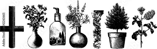 Vintage herbal apothecary vignette in engraving style for traditional healing and decor