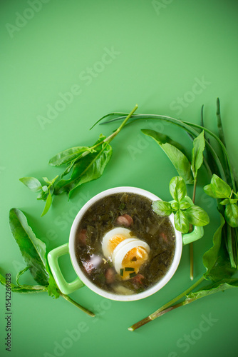 Homemade green borscht with boiled egg and fresh sorrel on top