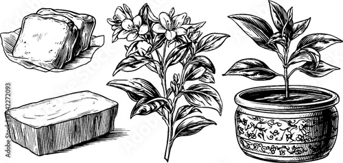 Set of buttered scones with marmalade and flowering plant illustration for culinary art