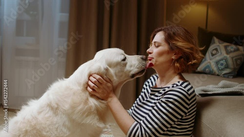 Golden retriever licking woman face as emotional support in cozy home setting