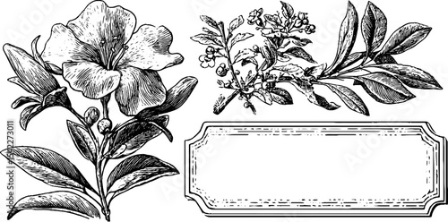 Vintage floral designs with clockmaker shop sign and hand cut tag panel for decorative use