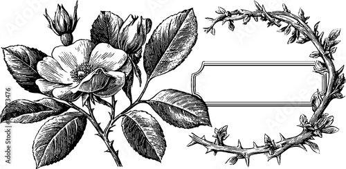 Vintage botanical design with floral frame and stone texture elements