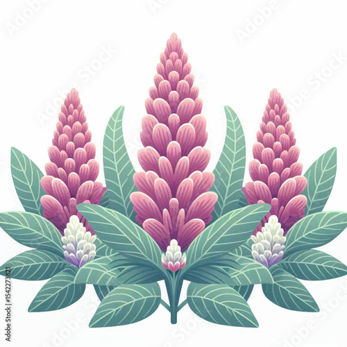 Three pink lupine flower spikes with large green leaves