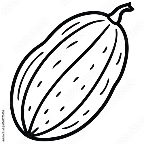 Line art drawing of an elongated gourd isolated on white