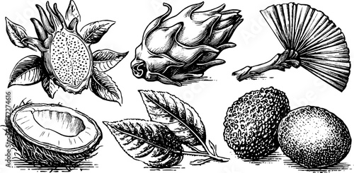 Exotic tropical fruits featuring dragon fruit, sugar apple, and durian for artistic design