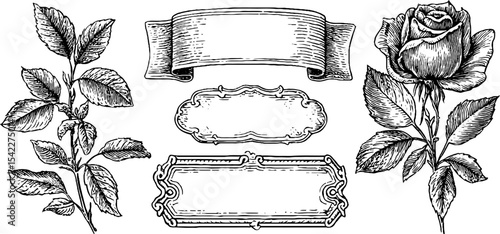 Elegant edwardian border and renaissance fruit design for decorative crafts and print