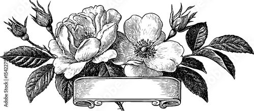 Edwardian border design with renaissance fruit and floral elements for decorative print