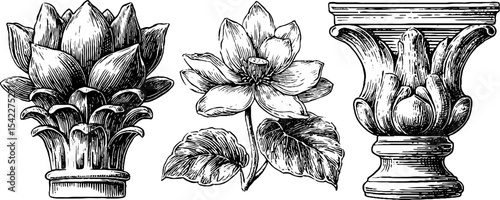Egyptian lotus capital and art nouveau designs for decorative architecture and nature theme