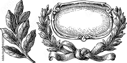 Elegant floral corner frames and oval laurel wreath design for decorative print or card