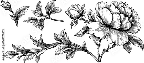 Elegant floral design with fringed edge and scallop border for textile and decoration