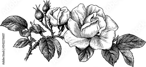 Intricate floral design with rose and scallop border stitch for elegant textile decoration