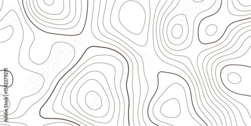 Topographic map background. Geographic line map with elevation assignments. Contour background geographic grid. Vector illustration