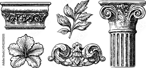 Greek ionic volute and roman acanthus frieze elements for architectural design