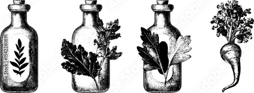 Vintage herbal apothecary bottles with leaves and root illustration for natural remedy design