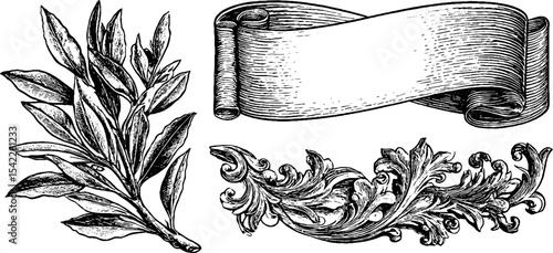 Elegant design elements featuring imperial scroll, baroque frame, and foliage for decorative use