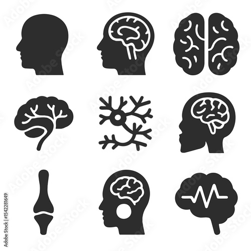 Brain Anatomy Icons. Solid style icons of head and brain anatomy: human head profile, cross-section of brain, brain hemispheres