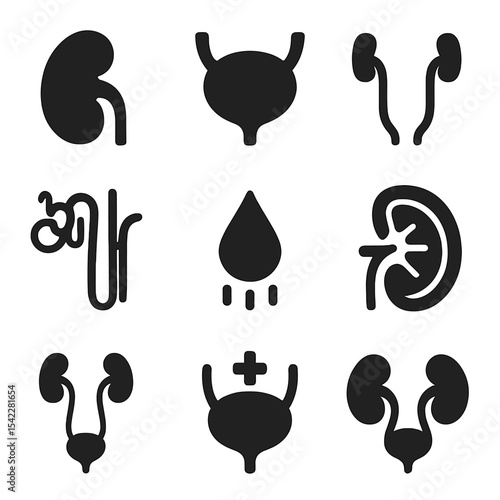 Urinary System Icons. Solid style icons of urinary system: kidney icon, urinary bladder, ureter tubes, nephron detail icon, urine