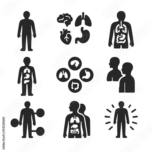 Human Body Systems Icons. Solid style icons of body systems overview: full human anatomy, organs icon set, circulatory +