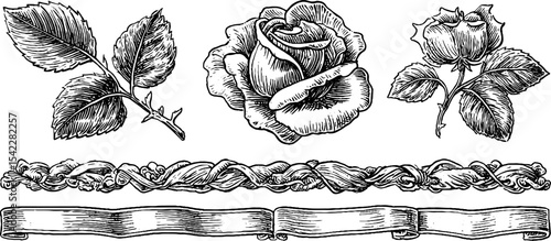 Elegant lace and ribbon embroidery with rosette knot design elements