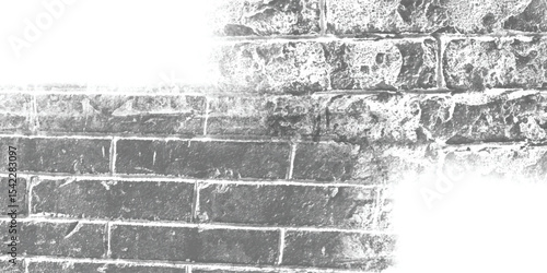 Detailed surface of an old retaining wall, revealing the marks of age and the history embedded within its structure.
