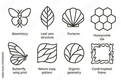 Biophilic Design Icons. Line style icons of biophilic design and eco interiors: biomimicry symbol, leaf vein structure, shell