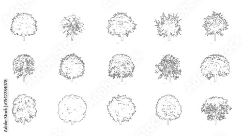 Tree Vector Illustrations in Various Styles