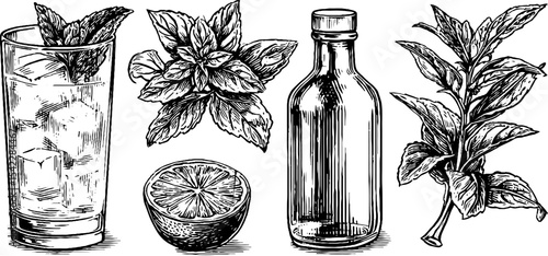 Classic mojito ingredients and elements in black and white craft design