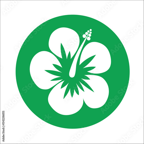 LOGOS SIGNOS LOGOTIPOS ISOTIPOS MARACA GRÁFICA HIBISCUS FLOR FLORES