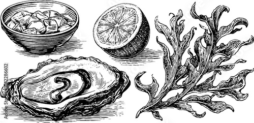 Gourmet seafood elements with oyster on half shell and cocktail sauce for culinary design
