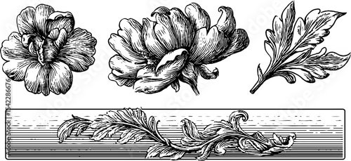 Intricate paisley leaf and jacquard flower motif for design projects