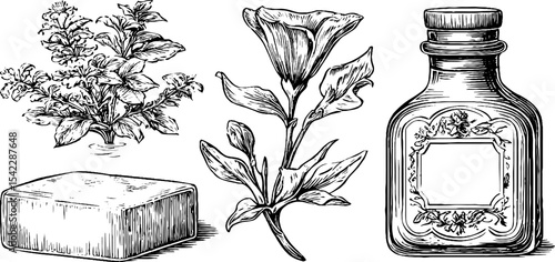 Vintage botanical designs featuring perfume bottle, floral accents, and soap for elegant decor