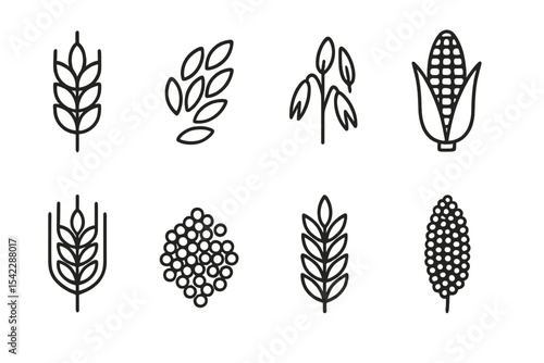 Grain Line Icons. Line style icons of grains and cereals: wheat, rice, oats, corn. barley, quinoa, rye, millet. No text, No labels