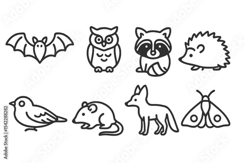 Nocturnal Animal Icons. Line style icons of nocturnal animals: bat, owl, raccoon, hedgehog. nightjar, opossum, fox, moth. No text,