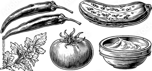 Hand drawn set of roasted red pepper, olive tapenade, and fresh ingredients for culinary design