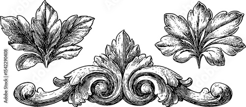 Elegant baroque design elements featuring ornate leaves and flourishes for decorative projects