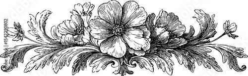 Ornamental design featuring spiked mandala and zigzag scroll elements