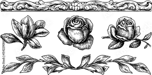 Intricate botanical designs with spiral fringe and tiled floral patterns for creative use