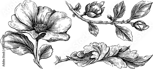 Intricate floral textile and woodgrain etched designs for artistic inspiration